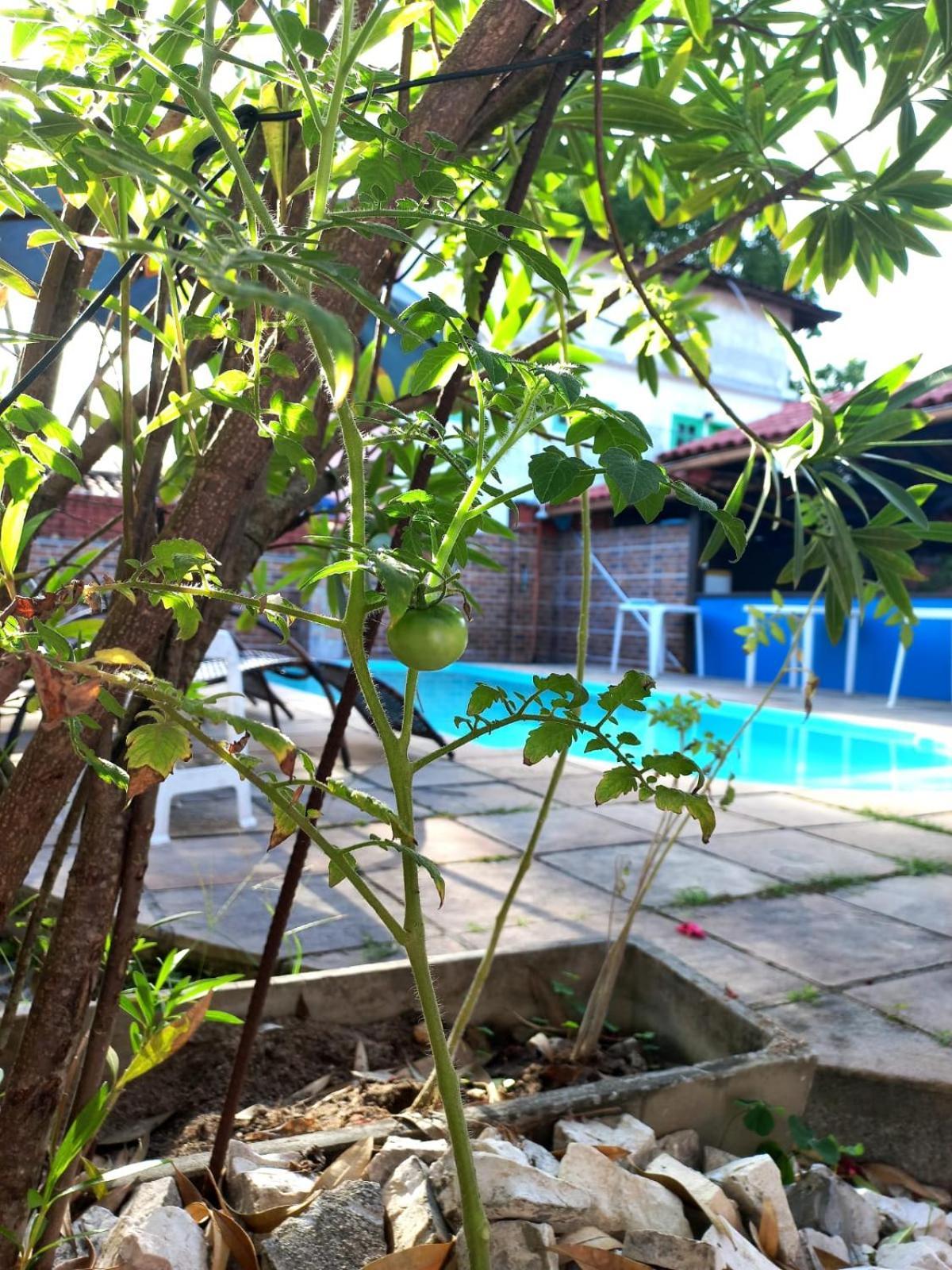 Pousada Flor Do Dende Porto Seguro Kültér fotó